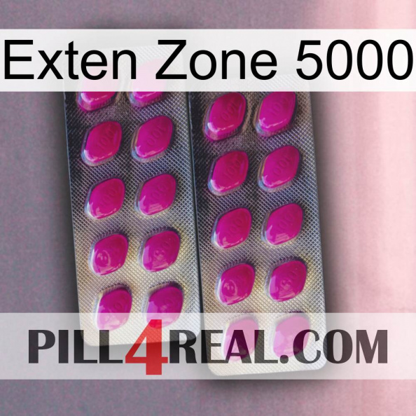 Exten Zone 5000 10.jpg